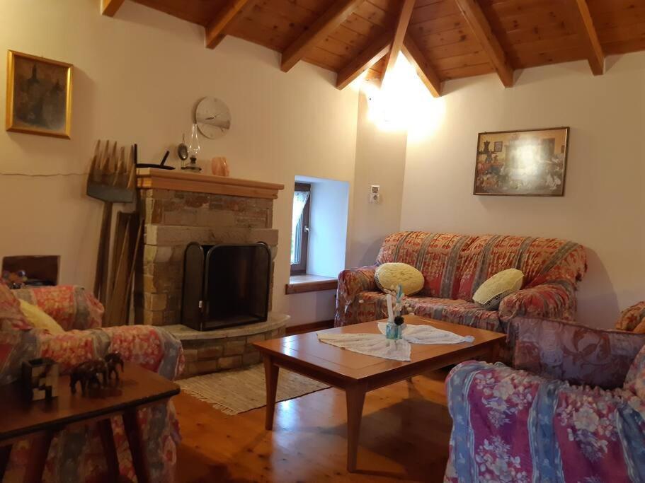 Kouros Villa! Paltsi Pilion Buitenkant foto