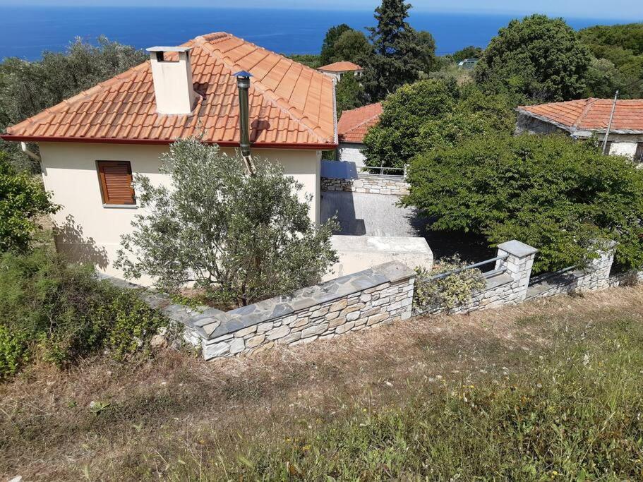 Kouros Villa! Paltsi Pilion Buitenkant foto