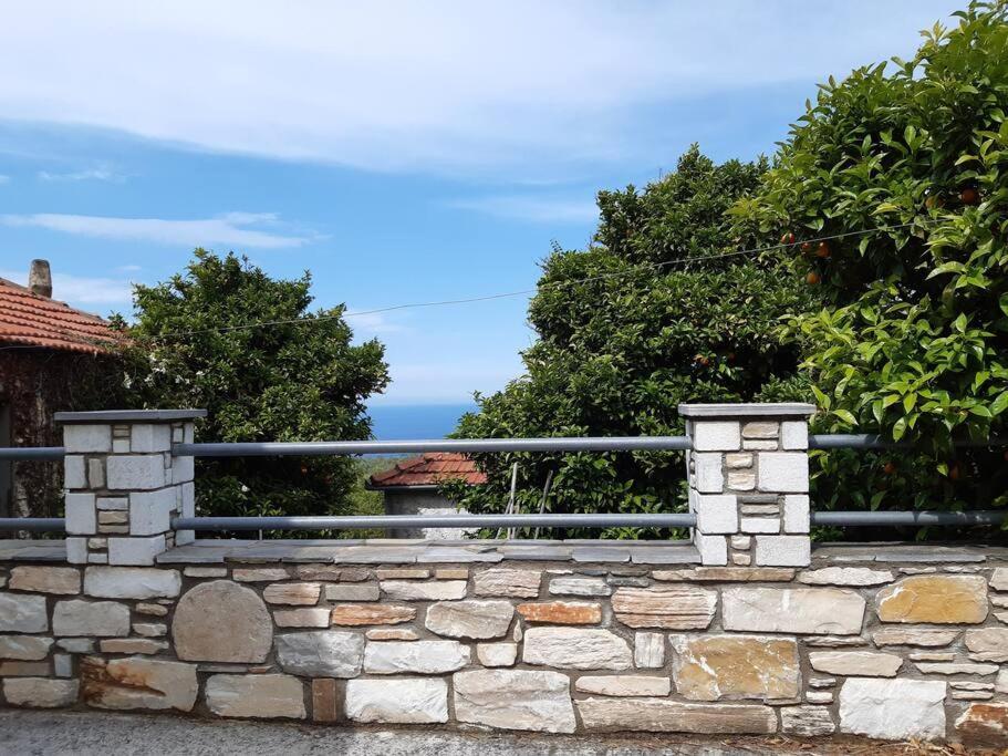 Kouros Villa! Paltsi Pilion Buitenkant foto
