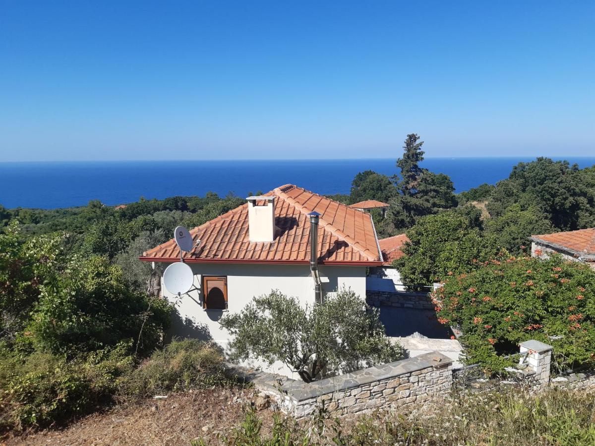 Kouros Villa! Paltsi Pilion Buitenkant foto