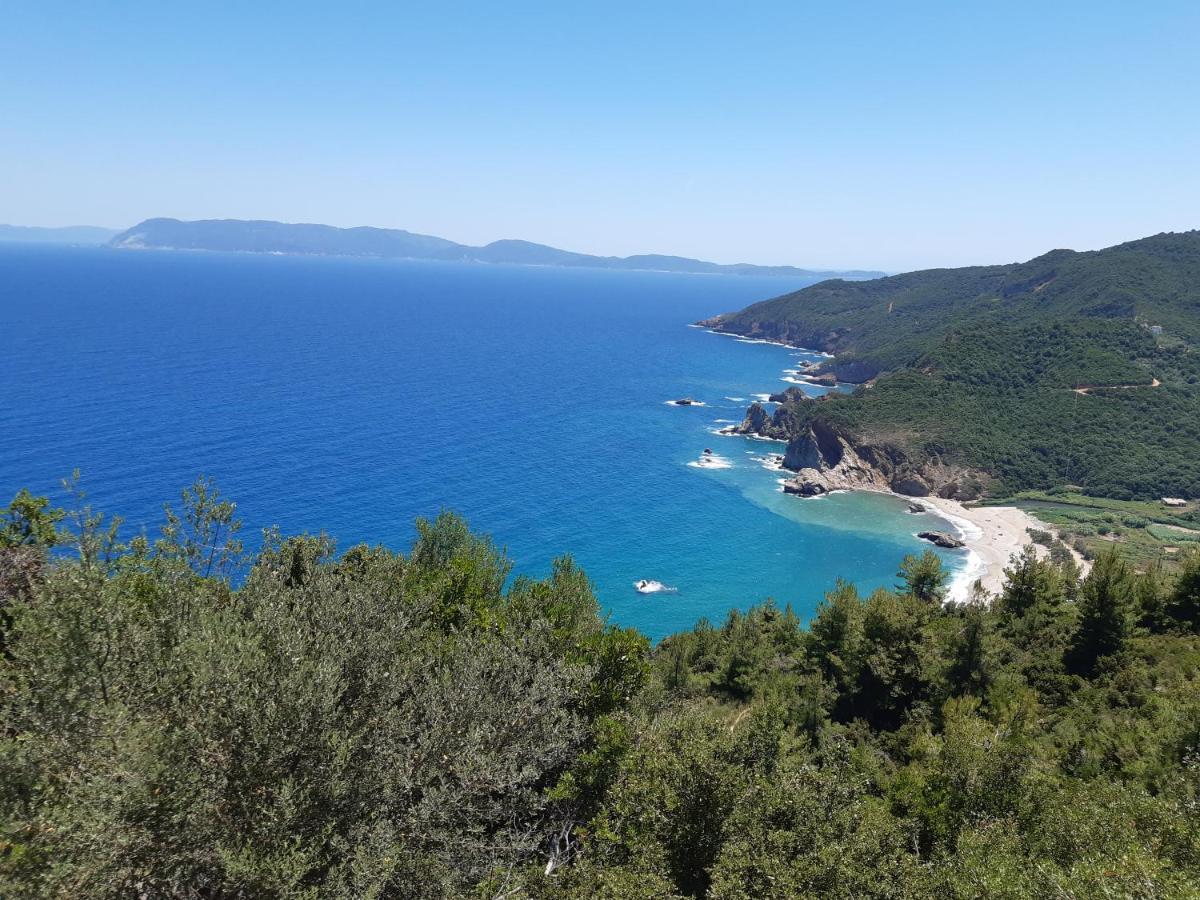 Kouros Villa! Paltsi Pilion Buitenkant foto