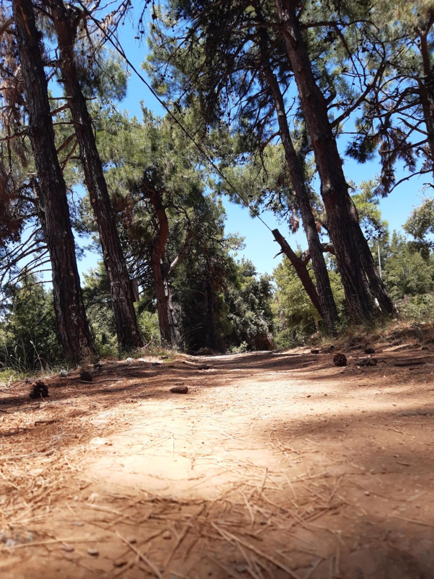 Kouros Villa! Paltsi Pilion Buitenkant foto