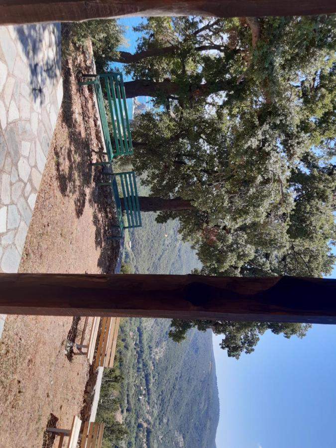 Kouros Villa! Paltsi Pilion Buitenkant foto