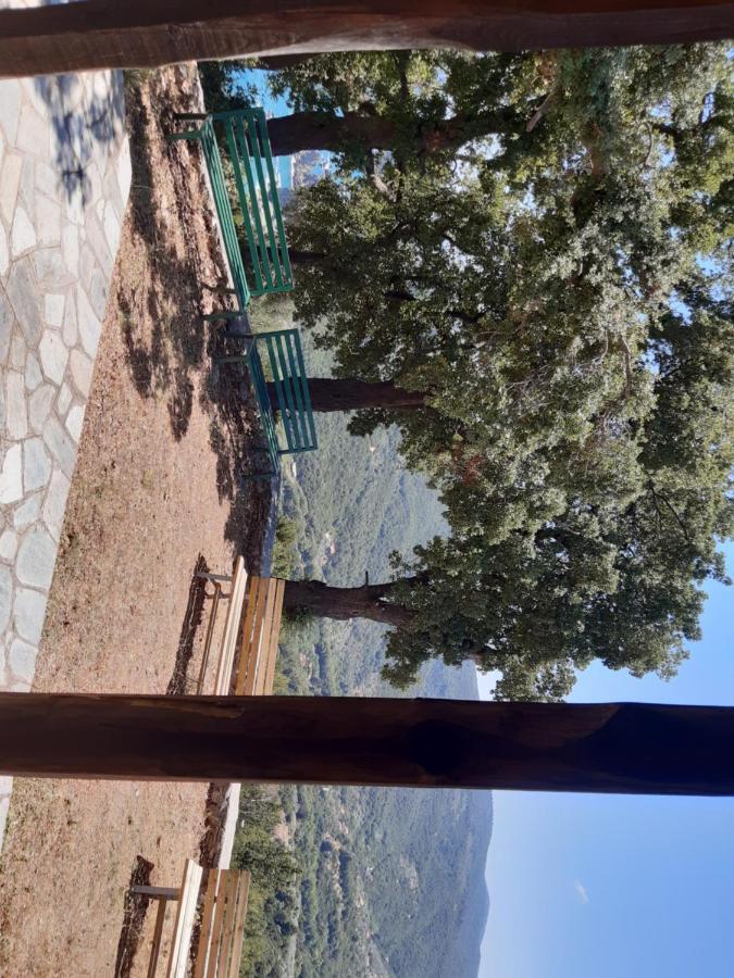Kouros Villa! Paltsi Pilion Buitenkant foto
